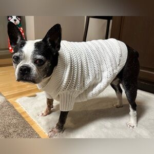 Gap Dog Sweater - NWT